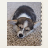 最も可愛い赤ん坊の動物 | Corgi Puppy on Shag Rug プランナー手帳 (裏面)