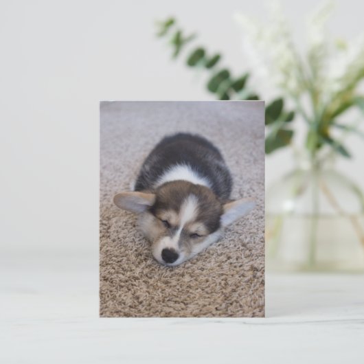 最も可愛い赤ん坊の動物 | Corgi Puppy on Shag Rug ポストカード (スタンド正面)
