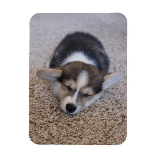 最も可愛い赤ん坊の動物 | Corgi Puppy on Shag Rug マグネット (縦)