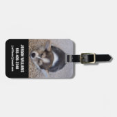 最も可愛い赤ん坊の動物 | Corgi Puppy on Shag Rug ラゲッジタグ (正面横)