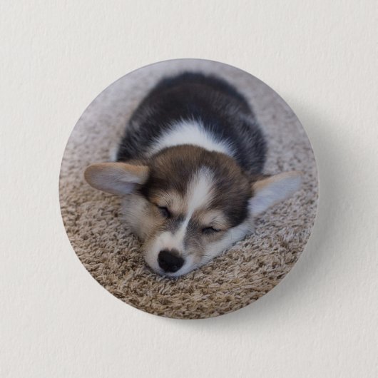 最も可愛い赤ん坊の動物 | Corgi Puppy on Shag Rug 缶バッジ (正面)