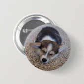 最も可愛い赤ん坊の動物 | Corgi Puppy on Shag Rug 缶バッジ (正面&裏面)