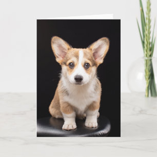 最も可愛い赤ん坊の動物 Corgi Puppy Stand Tall カード