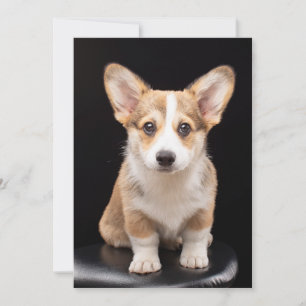 最も可愛い赤ん坊の動物 Corgi Puppy Stand Tall サンキューカード