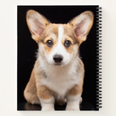 最も可愛い赤ん坊の動物 Corgi Puppy Stand Tall ノートブック (裏面)
