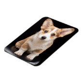 最も可愛い赤ん坊の動物 Corgi Puppy Stand Tall マグネット (左側)
