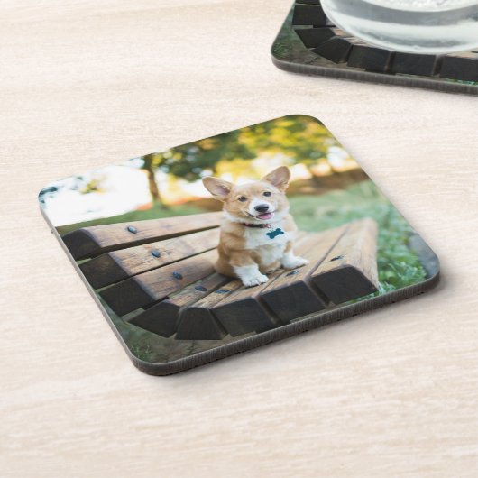 最も可愛い赤ん坊の動物 | Corgi Pupy on a Park Bench コースター (左側)