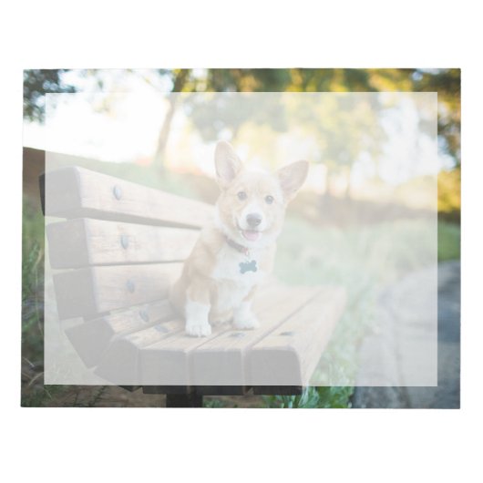 最も可愛い赤ん坊の動物 | Corgi Pupy on a Park Bench ノートパッド (正面)