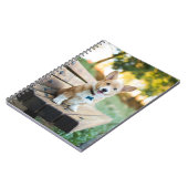 最も可愛い赤ん坊の動物 | Corgi Pupy on a Park Bench ノートブック (左側)