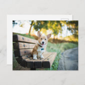 最も可愛い赤ん坊の動物 | Corgi Pupy on a Park Bench ポストカード (正面/裏面)