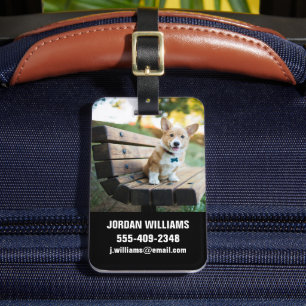 最も可愛い赤ん坊の動物   Corgi Pupy on a Park Bench ラゲッジタグ