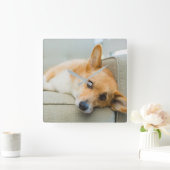 最も可愛い赤ん坊の動物 Corgi Pupy on Couch スクエア壁時計 (ホーム)