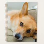 最も可愛い赤ん坊の動物 Corgi Pupy on Couch プランナー手帳 (正面)
