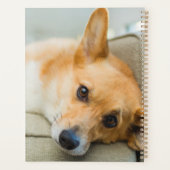 最も可愛い赤ん坊の動物 Corgi Pupy on Couch プランナー手帳 (裏面)