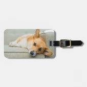 最も可愛い赤ん坊の動物 Corgi Pupy on Couch ラゲッジタグ (正面横)