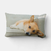 最も可愛い赤ん坊の動物 Corgi Pupy on Couch ランバークッション (裏面)