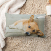最も可愛い赤ん坊の動物 Corgi Pupy on Couch ランバークッション (ブランケット)