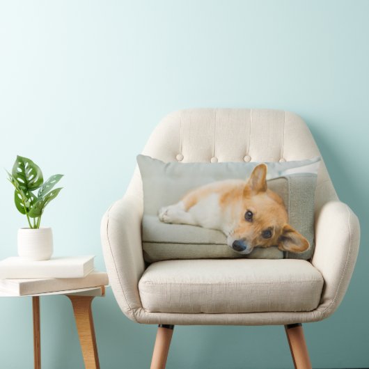 最も可愛い赤ん坊の動物 Corgi Pupy on Couch ランバークッション (椅子)