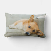 最も可愛い赤ん坊の動物 Corgi Pupy on Couch ランバークッション (正面)