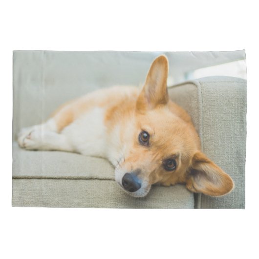 最も可愛い赤ん坊の動物 Corgi Pupy on Couch 枕カバー (裏面)
