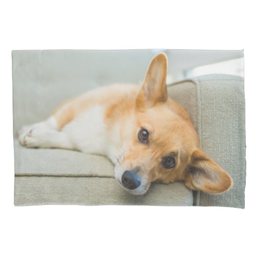 最も可愛い赤ん坊の動物 Corgi Pupy on Couch 枕カバー (正面)
