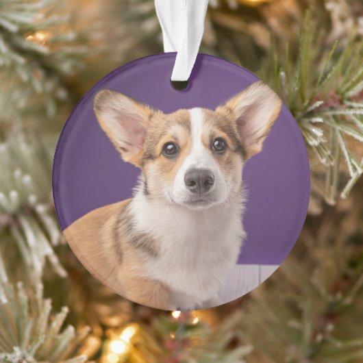 最も可愛い赤ん坊の動物 | Corgi Pupy on Purple オーナメント (ツリー)