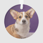 最も可愛い赤ん坊の動物 | Corgi Pupy on Purple オーナメント (裏面)