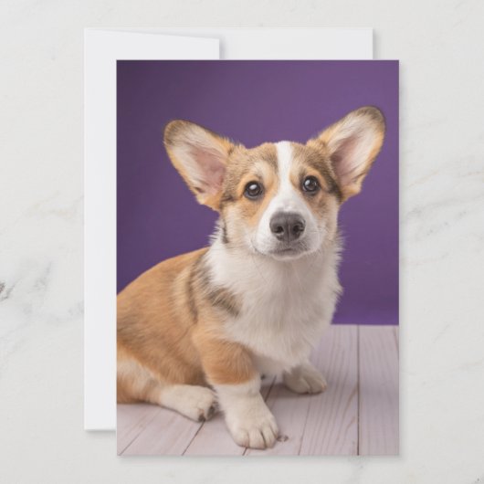 最も可愛い赤ん坊の動物 | Corgi Pupy on Purple サンキューカード (正面)