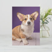 最も可愛い赤ん坊の動物 | Corgi Pupy on Purple サンキューカード (スタンド正面)