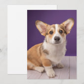 最も可愛い赤ん坊の動物 | Corgi Pupy on Purple サンキューカード (正面/裏面)