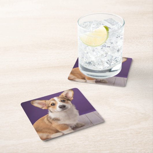 最も可愛い赤ん坊の動物 | Corgi Pupy on Purple スクエアペーパーコースター (インサイチュ)