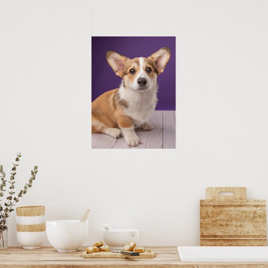 最も可愛い赤ん坊の動物 | Corgi Pupy on Purple ポスター (キッチン)