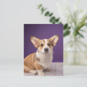最も可愛い赤ん坊の動物 | Corgi Pupy on Purple ポストカード (スタンド正面)