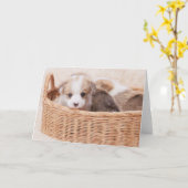 最も可愛い赤ん坊の動物 | Corgi Tiny Puppy カード (黄色い花)