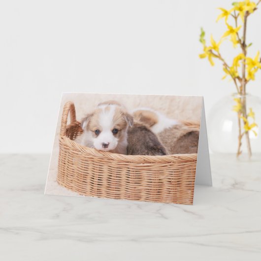 最も可愛い赤ん坊の動物 | Corgi Tiny Puppy カード (黄色い花)