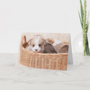 最も可愛い赤ん坊の動物 Corgi Tiny Puppy カード