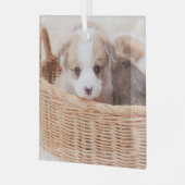 最も可愛い赤ん坊の動物 | Corgi Tiny Puppy ガラスオーナメント (正面左)