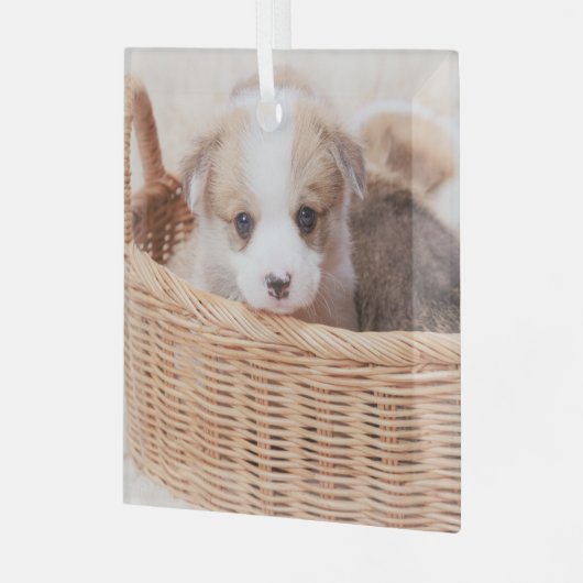 最も可愛い赤ん坊の動物 | Corgi Tiny Puppy ガラスオーナメント (正面左)