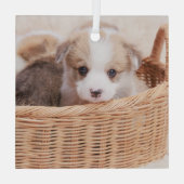 最も可愛い赤ん坊の動物 | Corgi Tiny Puppy ガラスオーナメント (裏面)