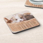 最も可愛い赤ん坊の動物 | Corgi Tiny Puppy コースター (左側)