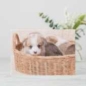 最も可愛い赤ん坊の動物 | Corgi Tiny Puppy サンキューカード (スタンド正面)