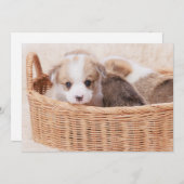 最も可愛い赤ん坊の動物 | Corgi Tiny Puppy サンキューカード (正面/裏面)