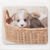 最も可愛い赤ん坊の動物 | Corgi Tiny Puppy マウスパッド (正面)