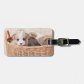 最も可愛い赤ん坊の動物 | Corgi Tiny Puppy ラゲッジタグ (正面横)