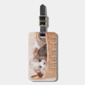 最も可愛い赤ん坊の動物 | Corgi Tiny Puppy ラゲッジタグ (正面縦)
