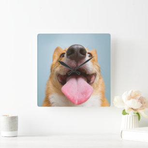 最も可愛い赤ん坊の動物 Corgi Tongue Corgi Tong スクエア壁時計