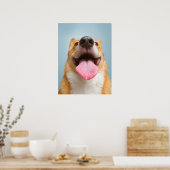 最も可愛い赤ん坊の動物 Corgi Tongue | Corgi Tong ポスター (キッチン)