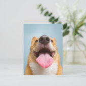最も可愛い赤ん坊の動物 Corgi Tongue | Corgi Tong ポストカード (スタンド正面)