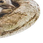 最も可愛い赤ん坊の動物 | Curiousベビーリス カッティングボード (角)