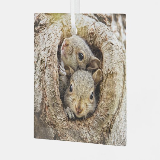 最も可愛い赤ん坊の動物 | Curiousベビーリス ガラスオーナメント (正面左)